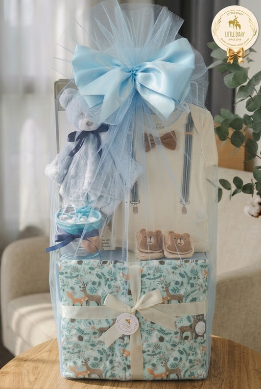 Tiny Explorer Baby Boy Hamper - BB007