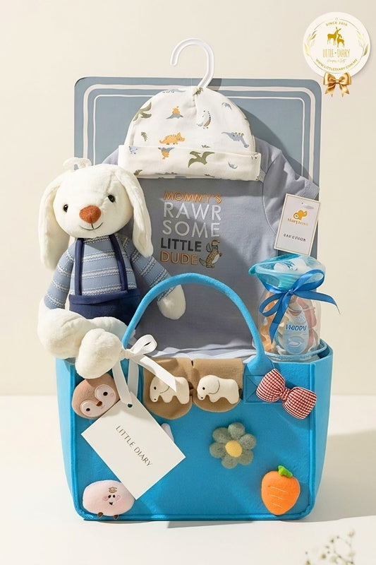Little Bunny Baby Boy Hamper - BB001