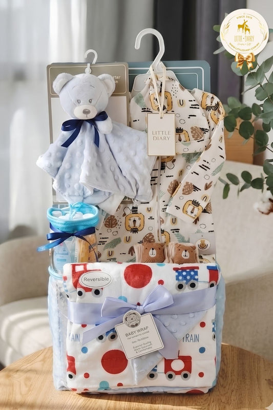 Tiny Explorer Baby Boy Hamper - BB007