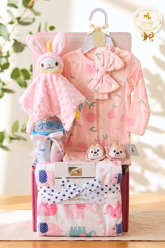 Tiny Explorer Baby Girl Hamper - BG007