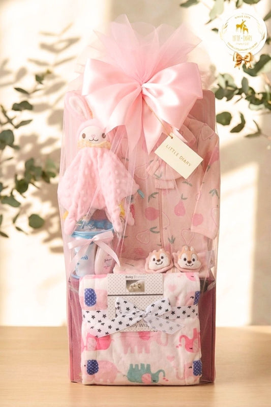 Tiny Explorer Baby Girl Hamper - BG007