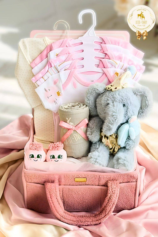 Snuggle Time Baby Girl Hamper BG008