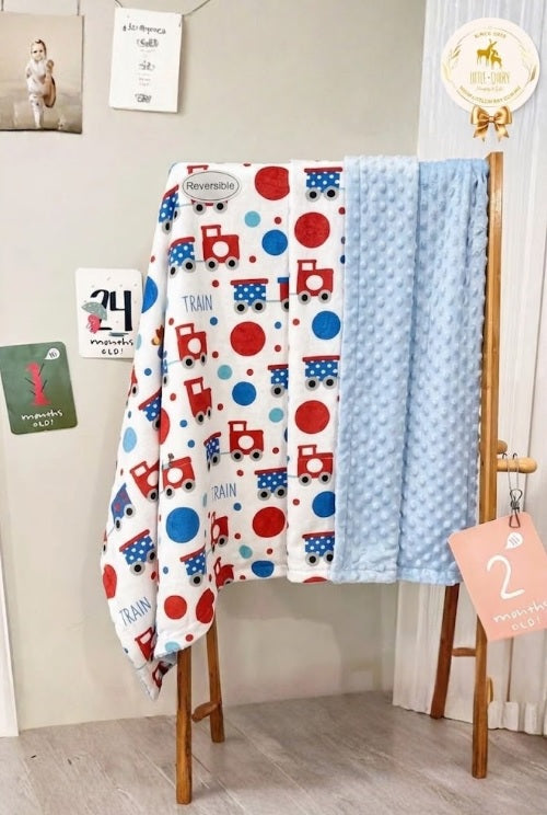 Tiny Explorer Baby Boy Hamper - BB007