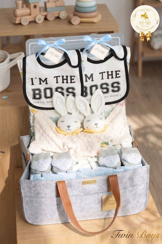 Double Joy Twin Boys Hamper TB001