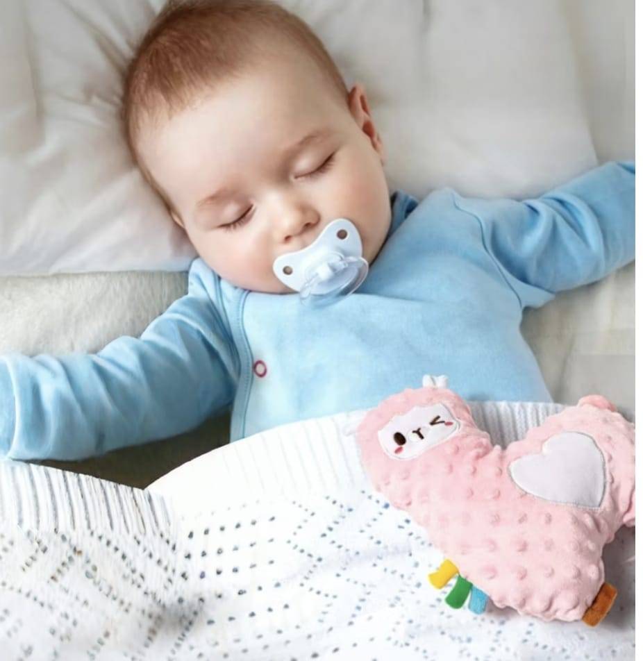 The Majestic Stallion Baby Girl Hamper - BG213 hamper detail