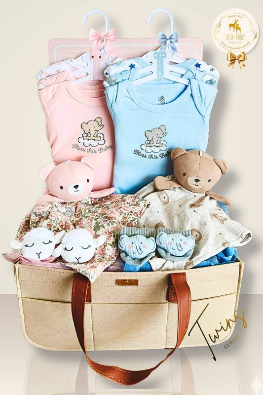 Double Delight Twins Hamper - TBG01 (a girl and a boy)